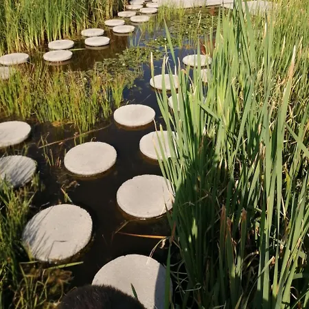 Delfin Aparthotel Zalakaros