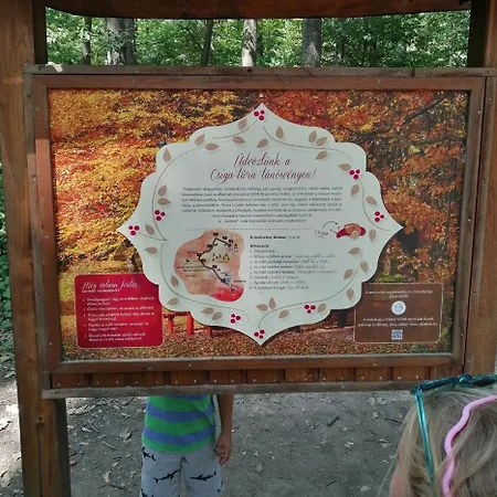 Aparthotel Delfin 3*